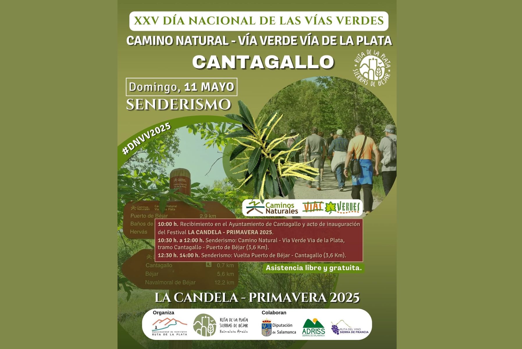 Actualidad Vas Verdes